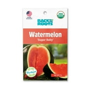 Back to the Roots Organic Sugar Baby Watermelon Fruit Seeds, 1 Seed Packet