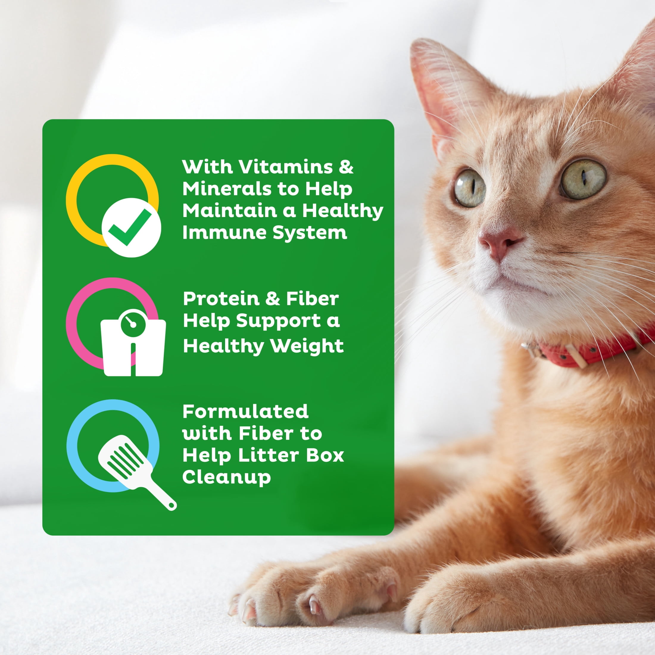 (4 pack) 9Lives Indoor Essentials Dry Cat Food for Adult Cats with Chicken & Salmon Flavors, 3.15 lb. Bag