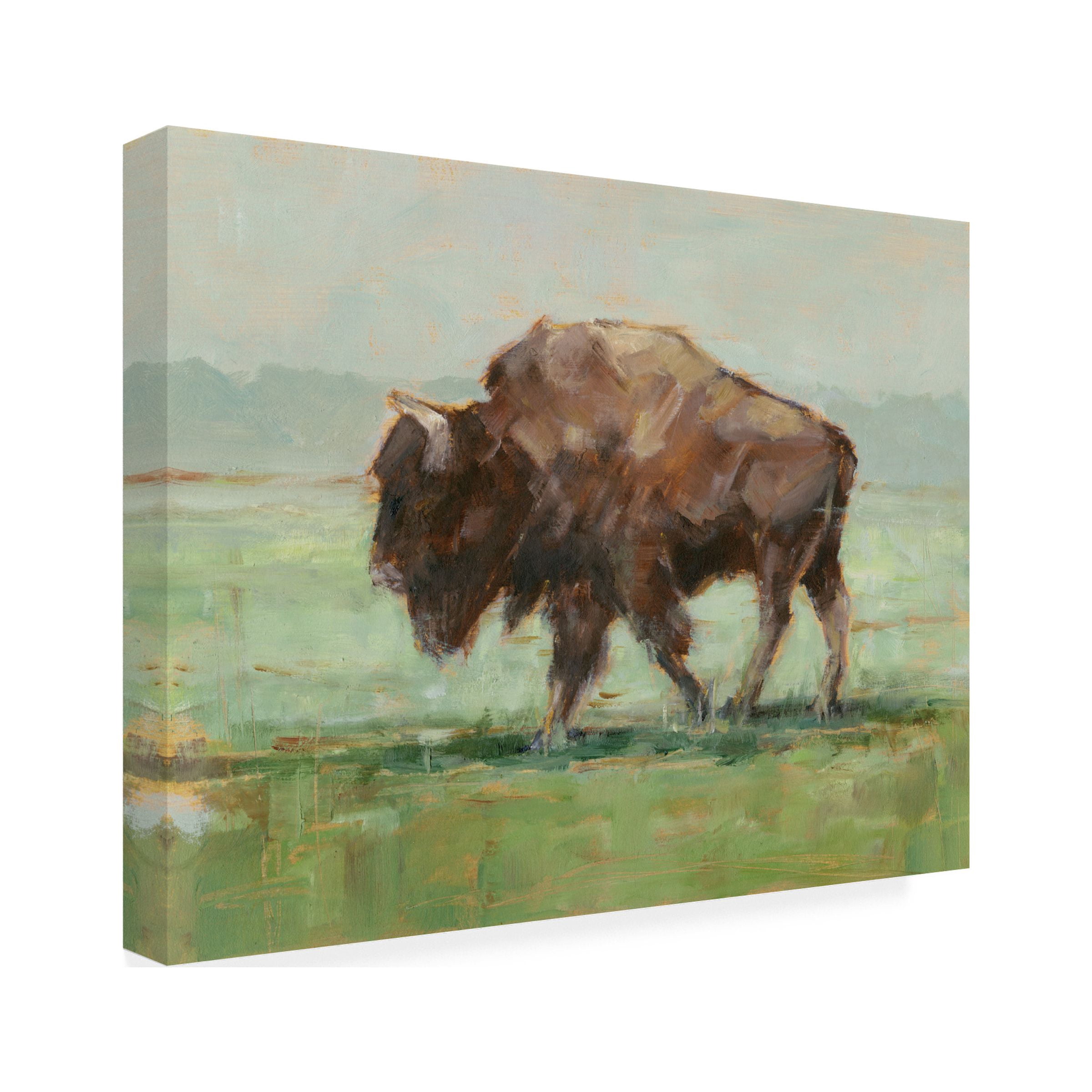 Ethan Harper 'Where the Buffalo Roam II' Canvas Art