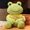 Frog + Little Umbrella Sweater + Backpack, variant on Toys Plush Velvet Frog Stuffed Animal for Green frog plush toy、cute frog stuffed animal Suitable as a birthday gift 9 in