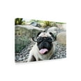 thumbnail image 2 of Trademark Fine Art 'Four Eyes' Canvas Art by Jim Dratfield, 2 of 3