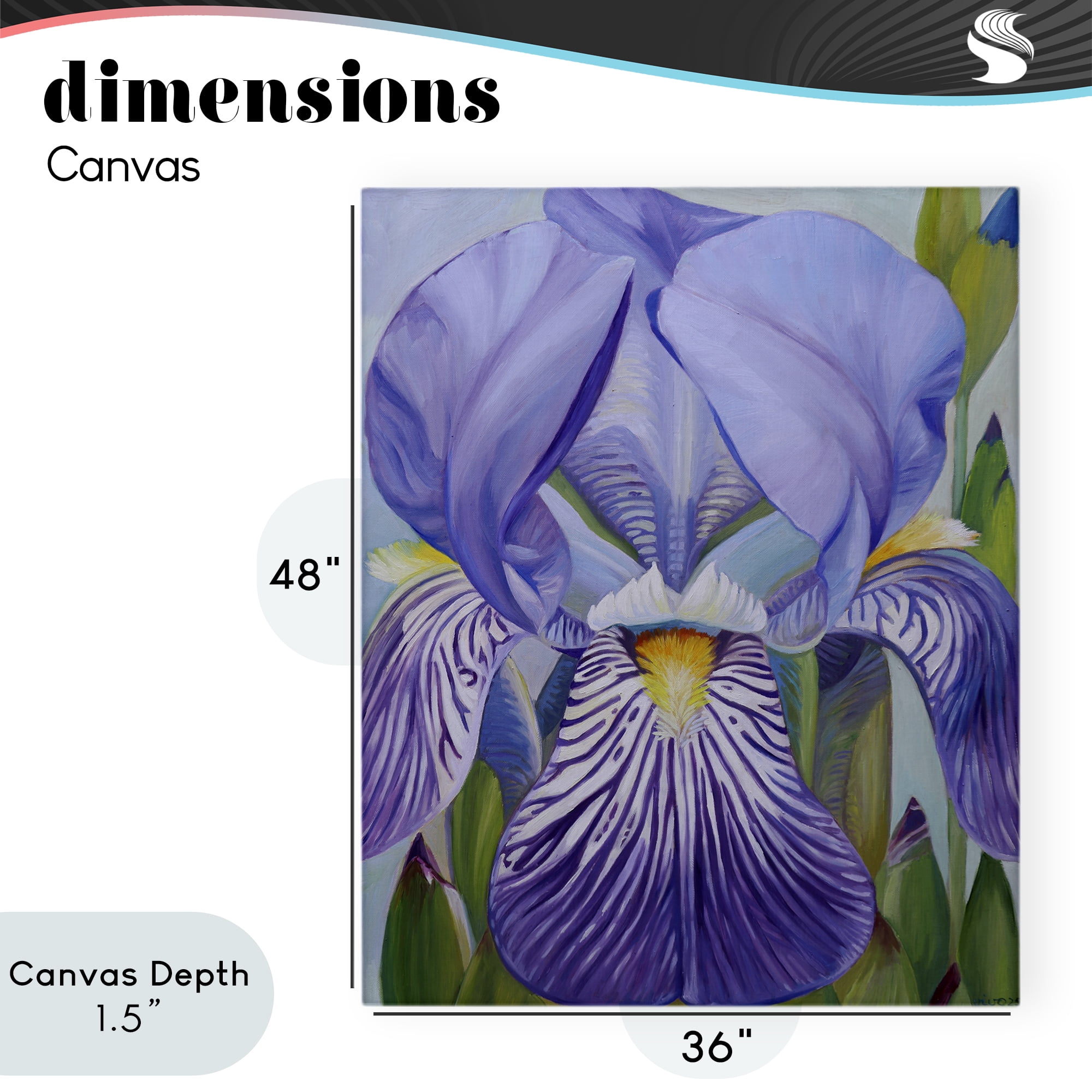 Stupell Industries Blooming Purple Iris Petals Canvas Wall Art, design by Violeta Vollmer