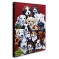 thumbnail image 3 of Trademark Fine Art Jenny Newland Picture Day Canvas Wall Art - 24x32, 3 of 4