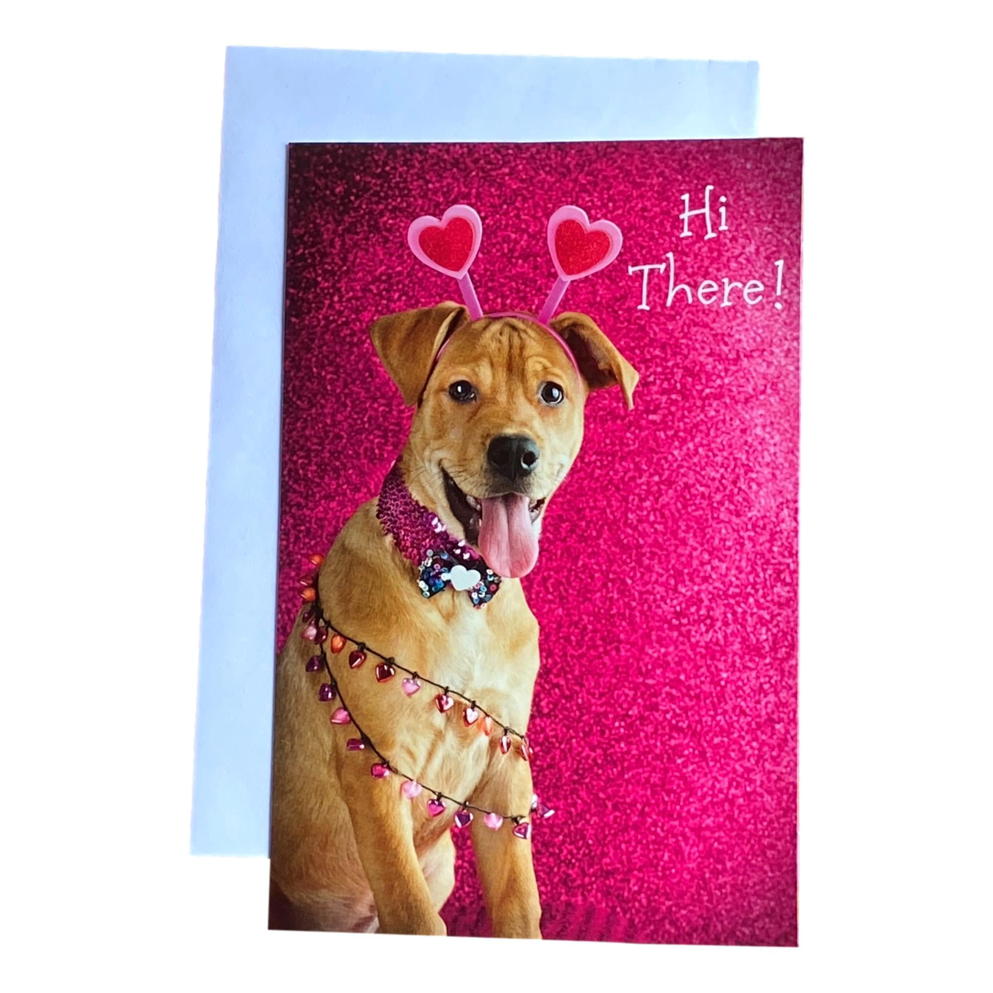 Every Dogs Day Birthday Card