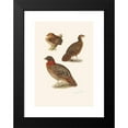 thumbnail image 2 of Henrik Gronvold 18x24 Black Modern Framed Museum Art Print Titled - Tragopan Plumages (1918-1922), 2 of 5