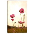 thumbnail image 2 of Champ de Fleurs Cosmos en Fleurs - Impression sur Toile Florale, 2 of 3
