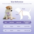 thumbnail image 5 of Dog Harness and Leash Set, No Pull Dog Vest Harness for Walking and Training, Adjustable, Easy Control and Breathable Dog Harness for Small Dogs, 5 of 7
