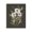 Daisy Bouquet Swallowtail Butterfly, variant on Stupell Industries French Country Daisy Bouquet with Swallowtail Canvas Art, 16 x 20, by House Fenway