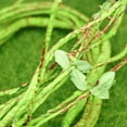 thumbnail image 5 of FOMIYES Flexible Green Artificial Vine Leaves for Home Decor and Reptile Terrarium Decoration, 5 of 5
