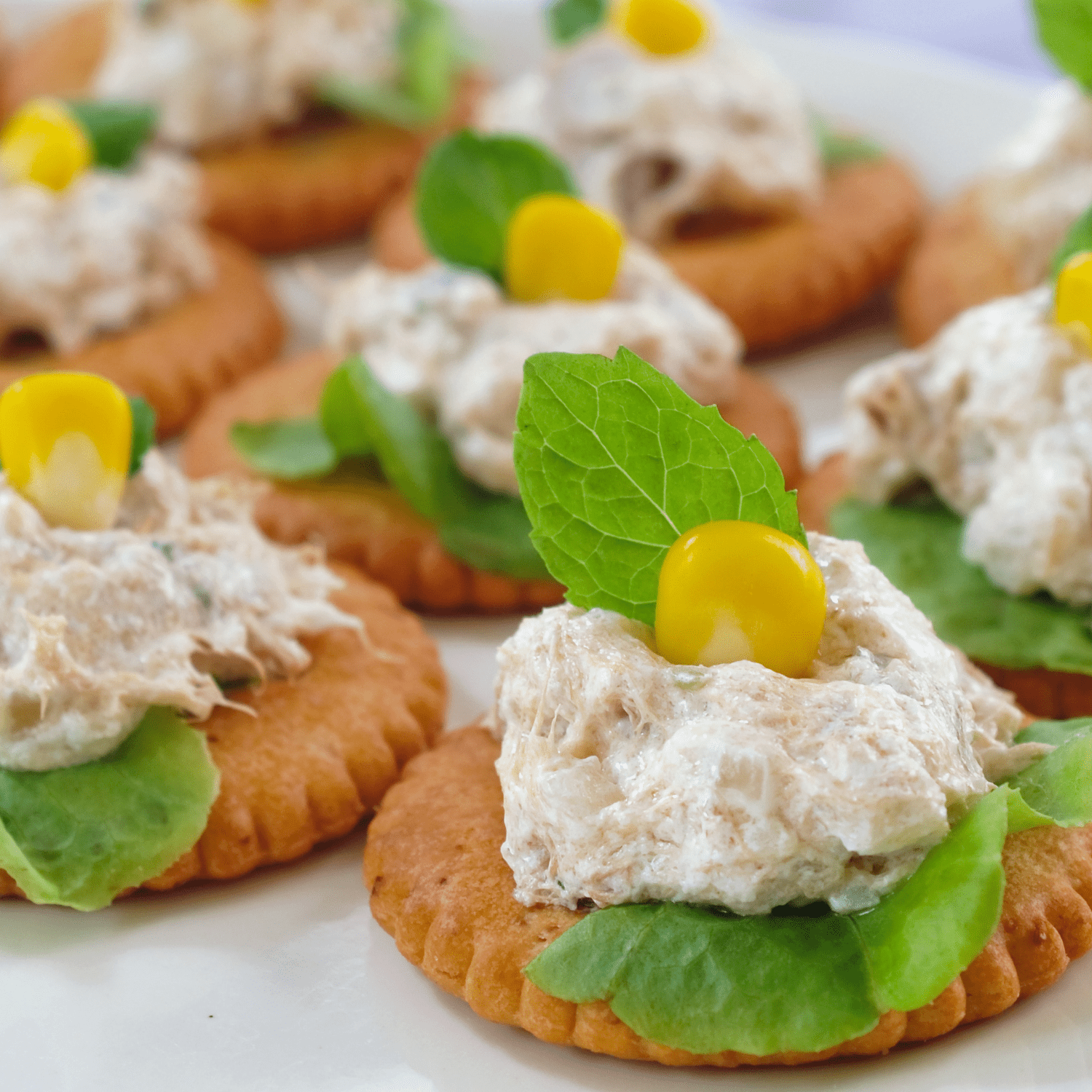 Brunswick Canned Tuna with Crackers Kit- Chicken, Tuna, Lemon Pepper, Buffalo Style Chicken, and Ranch Tuna Salad No Preservatives Healthy Convenient and Ready to Eat Snacks 2 Ct. each 10 Packs Total