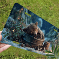 thumbnail image 5 of 1 Pcs 2D Flat License Plate Covers & Frames, Sleeping Bear For Decorative Front, Waterproof For Decoration Aluminum License Plate Covers & Frames Cover For Men Women, 12" X 6", 5 of 6