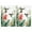 Hummingbird And Flower-3, variant on 2 Pcs Funny Kitchen Towels,I Dont Need Therapy I Just Need To Go Camping Microfiber Dish Towels,Kitchen Tea Towels,Kitchen Towel Set (18" X 26")