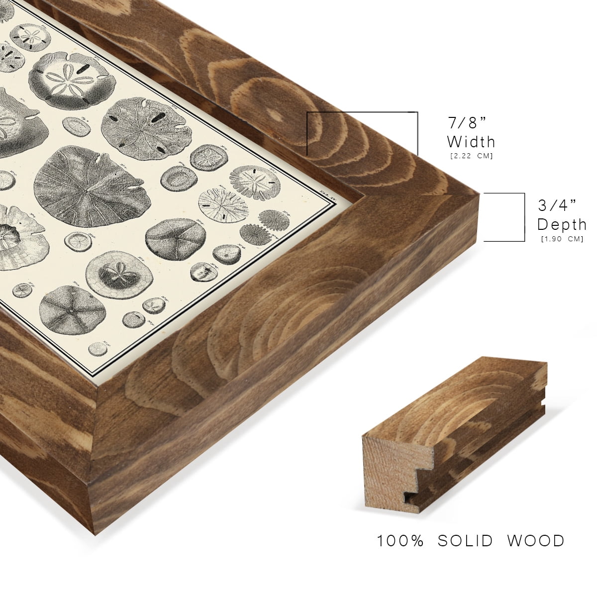 Aegean Collection II -Framed Print w/glass-Walnut