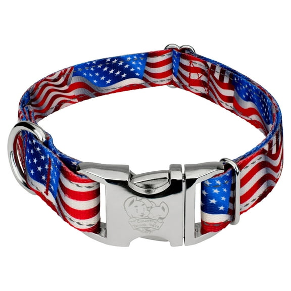 Country Brook Petz® Premium Flying Free Reflective Dog Collar, Large