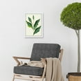 thumbnail image 2 of Detail Of Rubber Fig Plant Botanical Illustration Artwork Framed Wall Art Print A4, 2 of 4