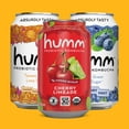 thumbnail image 6 of Humm Kombucha, Summer Variety Pack, 12 Pack, 12 oz Cans, 6 of 6
