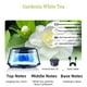 thumbnail image 1 of Ambientador inteligente para coche con encendido y apagado automático y 5 luces ambientales | Difusor de aromaterapia de 15 ml para casa, oficina y coche | Recargable y modos de niebla ajustables, 1 of 5