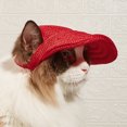 thumbnail image 4 of CSChome Pet Hat Pet Hat with Ear Holes Breathable Mesh Adjustable Small Dogs Cats Teddy Pug Chihuahua Puppy Baseball, 4 of 7