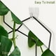 thumbnail image 4 of Kit de soporte para plantas de servicio pesado | Enrejado de plantas trepadoras de bricolaje con 18 anillos hexagonales y 6 ganchos | Rejilla de hierro resistente a la intemperie para la decoración, 4 of 6