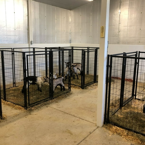 Aleko hotsell dog pen