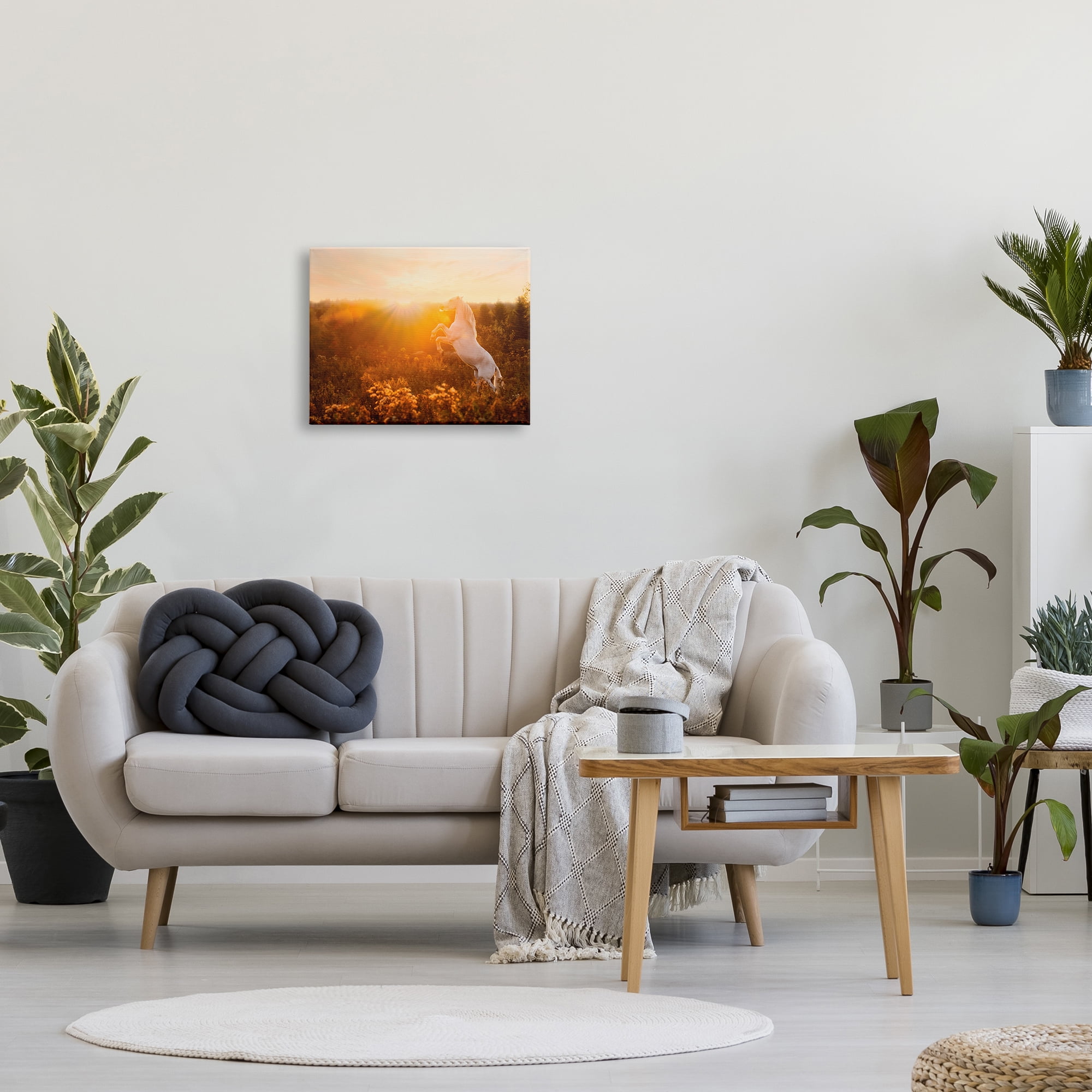Stupell Industries Standing Horse in Rising Sun Landscape Photography Gallery Wrapped Canvas Art Print Wall Art, 20 x 16