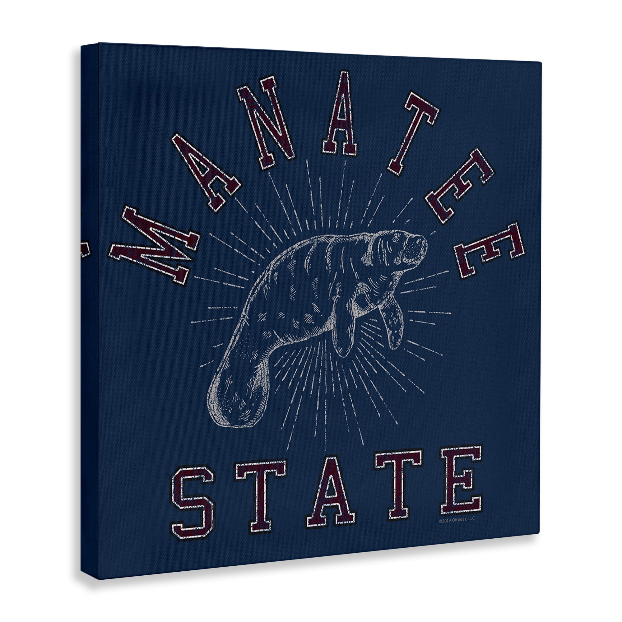 Stupell Industries Vintage Manatee State Animals Painting Wrapped Canvas Art Print Wall Art, 30 x 30