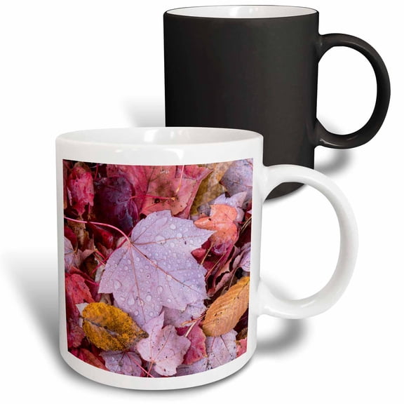 3drose, Michigan, Keweenaw Peninsula. a Pattern of Wet Autumn Leaves., 11oz Magic Transforming Mug