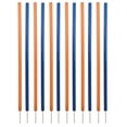 thumbnail image 1 of TRIXIE Dog Agility Slalom Set, Portable Dog Training Poles, Agility Weaving Poles, 12 pcs, 1 of 7
