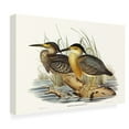 thumbnail image 4 of Trademark Fine Art Elizabeth Gould  Waterbird Pairing IV Canvas Wall Art, 4 of 4