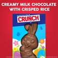 thumbnail image 6 of Crunch Solid Milk Chocolate Bunny with Crisped Rice, 4.5oz, 6 of 10