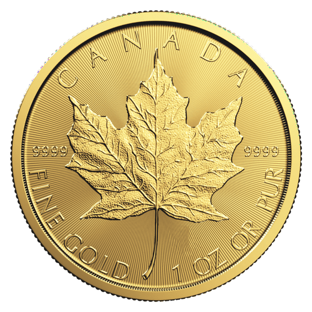 Royal Canadian Mint Canadian Gold Maple Leaf 1 oz Coin Random Year