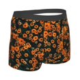 thumbnail image 3 of Junzan Daisies Mens Underwear Boxer Briefs For Men’s - X-Large, 3 of 9