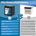 thumbnail image 3 of Batería wowpower, 12 V, 5 Ah, litio LiFePO4, ciclo profundo, paquete de 2 unidades, 3 of 7