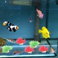 thumbnail image 4 of 20Pcs Decorative Fish Tank Grass Delicate Fake Plant Desktop Aquarium Plant Aquarium Accessory, 4 of 9