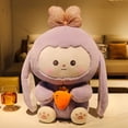 thumbnail image 2 of Cute / Soft / Rabbit Plush Toy / Rabbit Doll with Hair Card and Carrot / Girl's Birthday Gift / Christmas GiftPink53cm Deng Xun unisex, 2 of 2