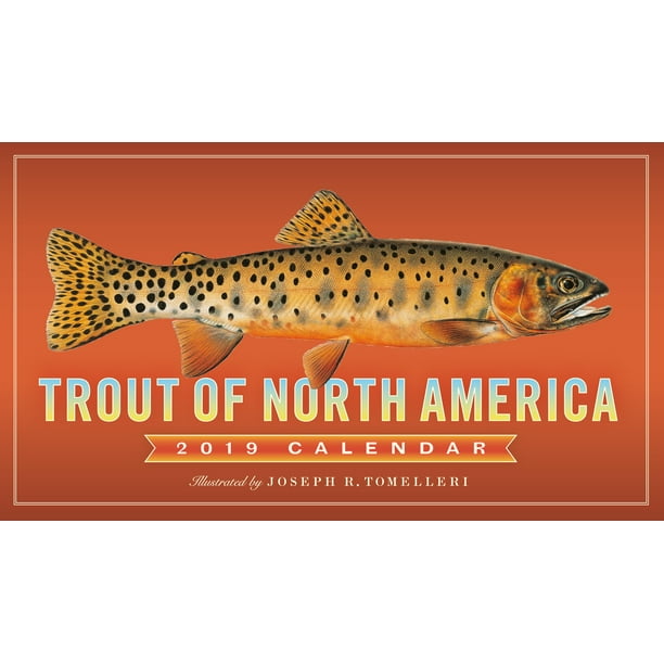 Trout of North America Wall Calendar 2019 (Other)