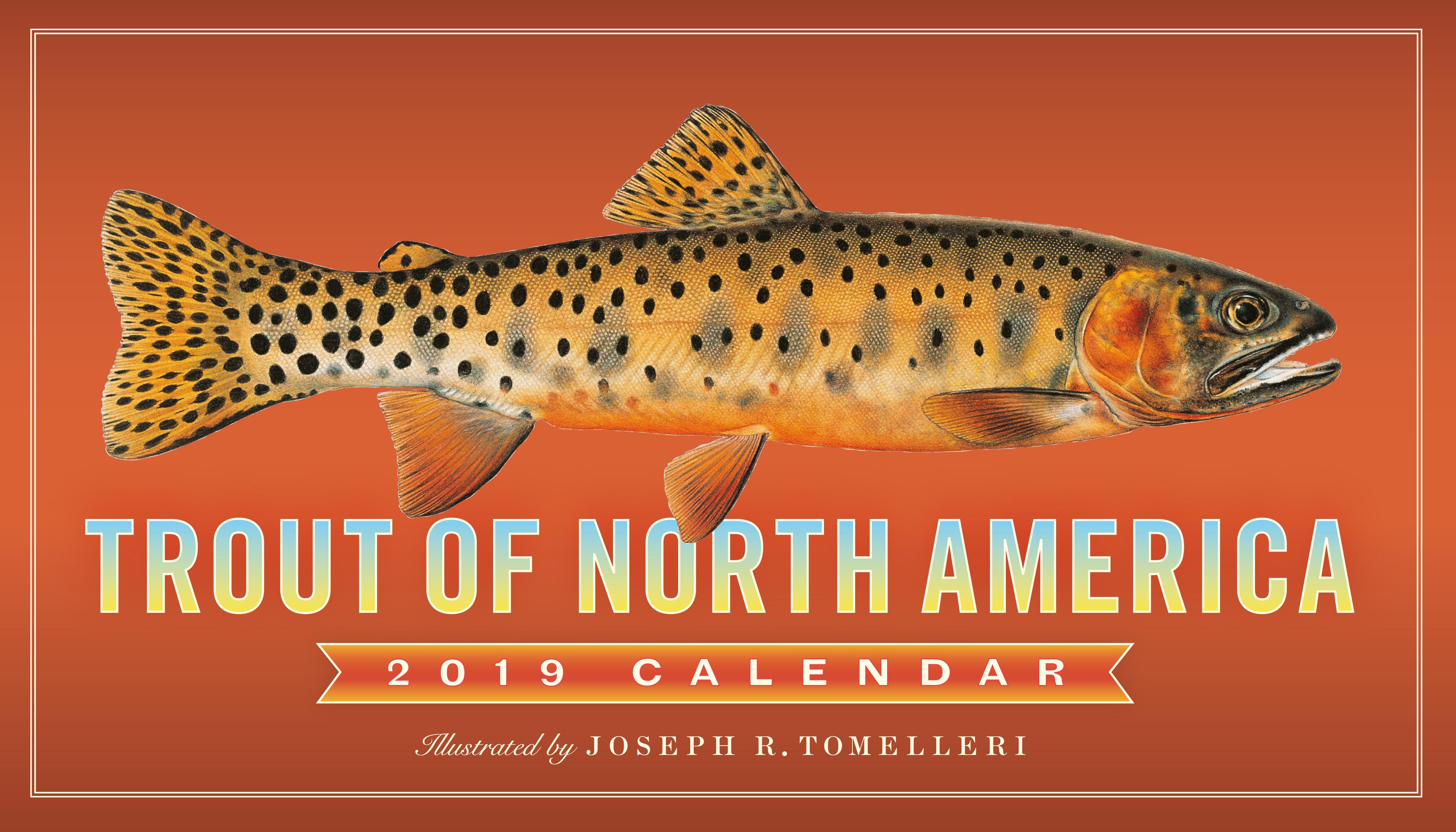 Trout of North America Wall Calendar 2019 (Other) - Walmart.com 