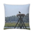 thumbnail image 2 of Ahgly Company State Delaware Outdoor Throw Pillow, 18 inch by 18 inch, 2 of 6