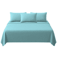 thumbnail image 1 of Juego de Sábanas Polares King Size We2 Dream - Aislamiento Térmico de Alta Densidad para Climas Fríos y Dormitorios con Aire Acondicionado - Textura Soft Extra Cálida - Color Menta, 1 of 5