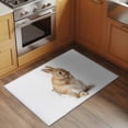 thumbnail image 3 of Funny Bunny 2'x3' Washable Rug, Cute Art Fun Lovely Animals on Toilets Non-Slip Soft Doormat Area Rugs for Entrance Bathroom Bedsides, StainResistant Carpet for Kitchen Bedroom, Entryway Floor Mat, 3 of 9