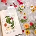 thumbnail image 4 of 20PC Large Size Bookmark Flower Page Clips Bookmarks Children Handmade DIY Transparent Flower Page Glass Bottle Wishing Bottle Sticker, 4 of 9