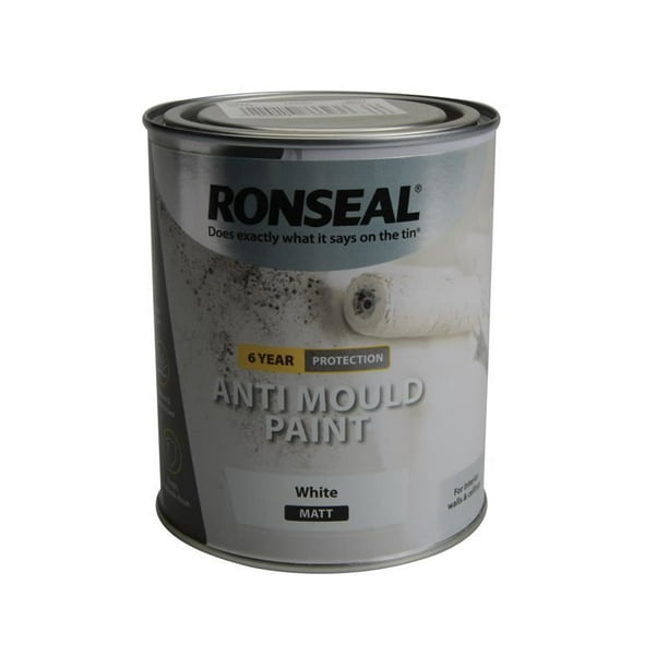 Ronseal 6 Year Anti Mould Paint White Matt 750ml Walmart.ca