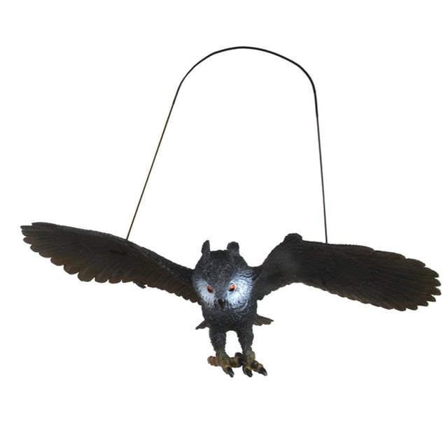 Modelo de águila simulada, estatua de animal muy detallada, duradera, decoración del hogar, educación negro