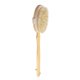 thumbnail image 1 of Bath Shower Brush with Long Handle Body Brush for Wet or Dry Brushing Shower, 1 of 5