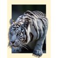 thumbnail image 1 of 5D tigre blanco bordado diamante pintura artesanía punto de cruz decoración del hogar Tmvgtek decoración de arte en el hogar, 1 of 8