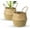 Small, variant on NOGIS 2 Pack Woven Plant Basket - Wicker Belly Basket Planter Indoor with Plastic Liner and Handles, Natural Plant Pot for Fiddle Leaf Fig Tree, Snake Plant (Small, Natural- Beige)