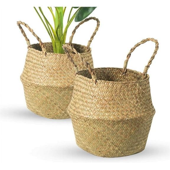 NOGIS 2 Pack Woven Plant Basket - Wicker Belly Basket Planter Indoor with Plastic Liner and Handles, Natural Plant Pot for Fiddle Leaf Fig Tree, Snake Plant (Small, Natural- Beige)