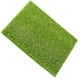 thumbnail image 3 of Jardín de hadas en miniatura Hada realista Jardín de césped artificial Casa de muñecas Jardinería DIY Moss Inevent JJ17317-03, 3 of 6