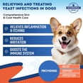 thumbnail image 4 of Natural Dogs & Cats Yeast Comfort Support for  Skin & Ear  – Herbal Drops for Itching, Sensitivity & Wellness – Gentle Daily Supplement, 4 of 7