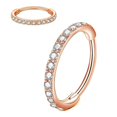 thumbnail image 4 of Dainty Nose Rings Hoop Piercing Jewelry Stainless Steel Body Piercing Jewelry Surgical Nose Segment Rhinestone Hinged Steel, 4 of 9
